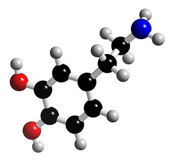 Modélisation moléculaire de la dopamine