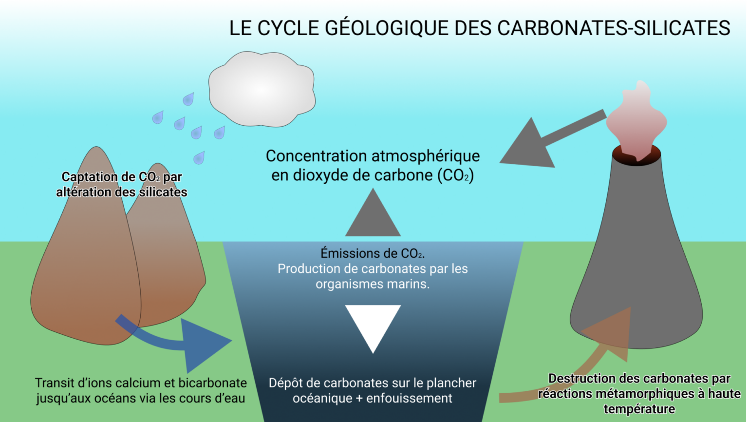 Le cycle des carbonates-silicates joue un rôle clé dans le cycle du carbone.