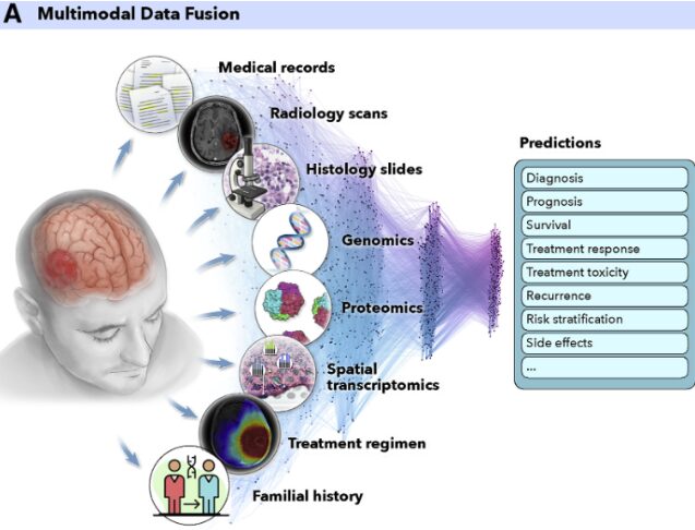 Schéma montrant l’utilisation de l’IA avec l’intégration de données multimodales en oncologie © Lipvoka, Jana et al.